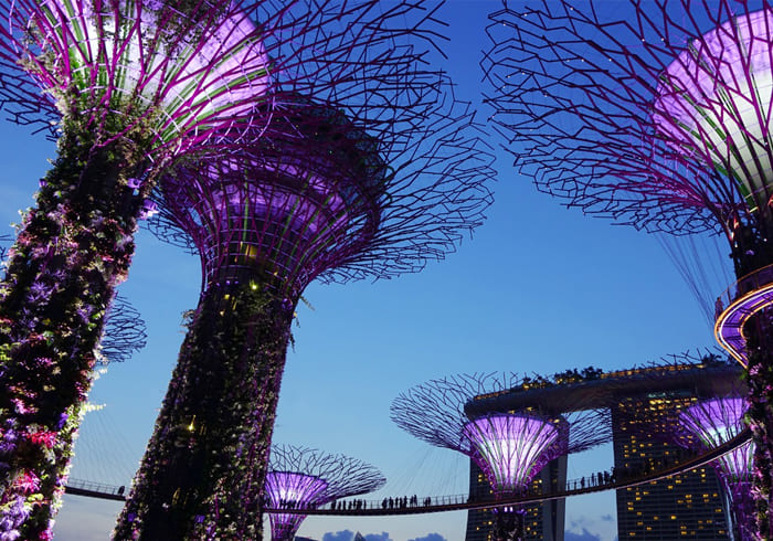 Singapore Flyer