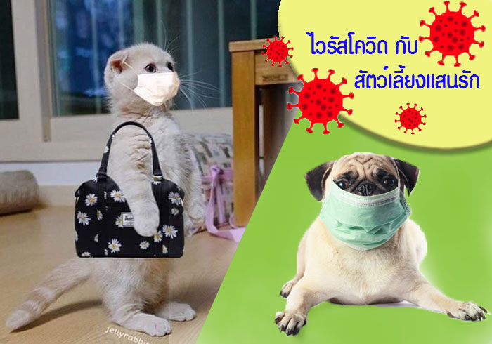 วิธีป้องกันไวรัสโคโรน่า