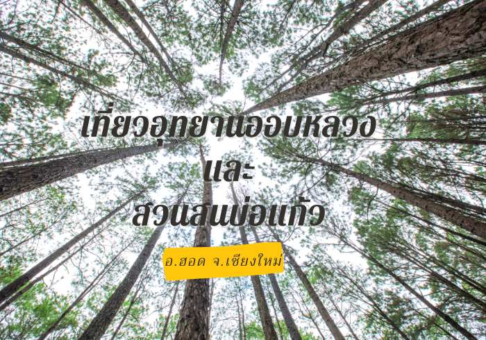 เที่ยวออบหลวง สวนสนบ่อแก้ว