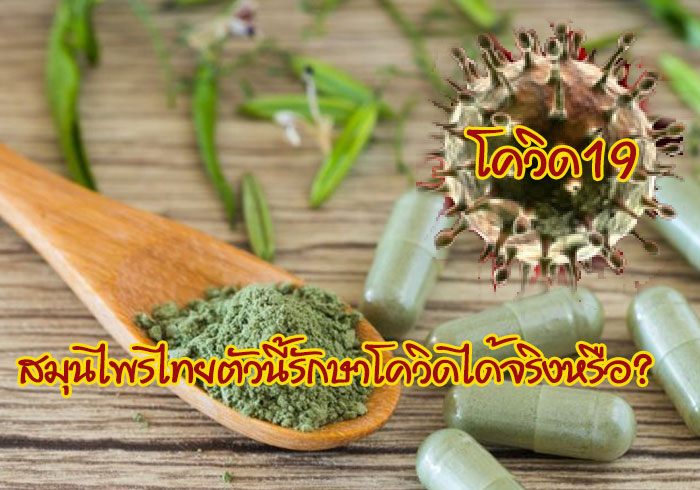 สินค้ายอดฮิตยุคโควิด-19