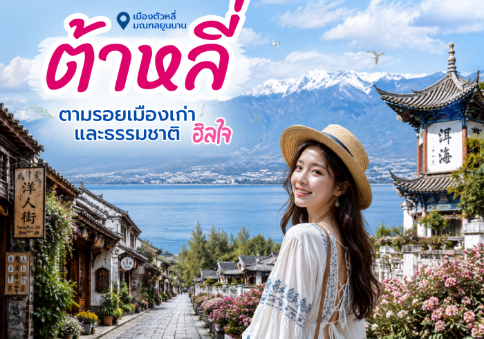 แชงกรีล่า แชงกรีล่า