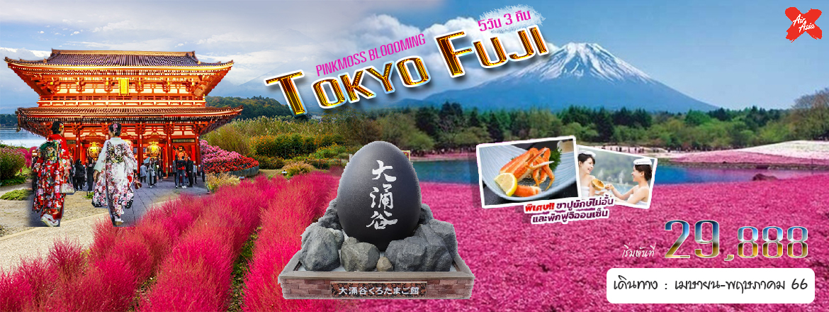 ทัวร์ญี่ปุ่น PINKMOSS BLOOMING TOKYO FUJI