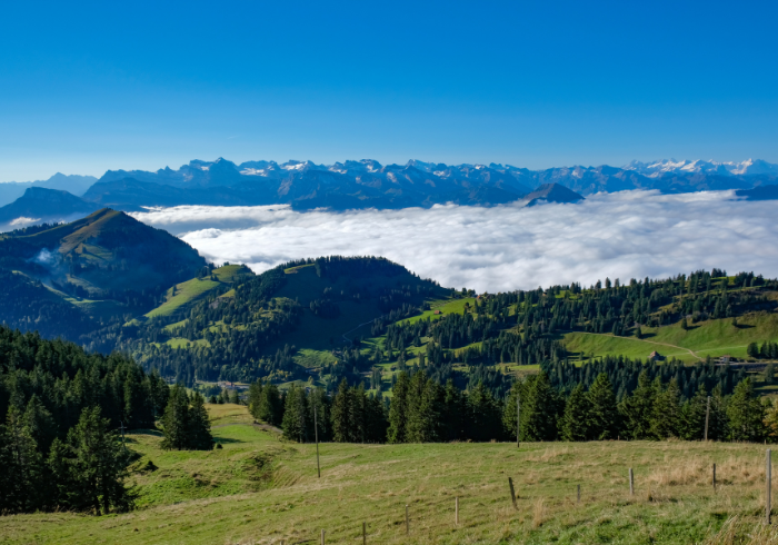 ทัวร์ยุโรป AEU110-07 Swiss Panorama(301266)