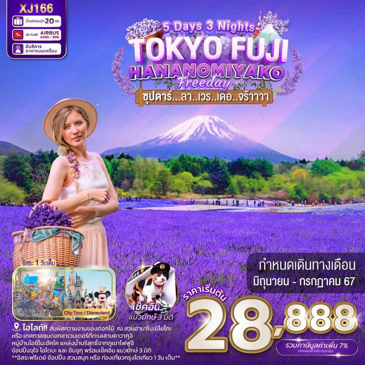 ทัวร์ญี่ปุ่น AJP65-09 TOKYO FUJI HANANOMIYAKO FREEDAY ลาเวนเดอร์ XJ166 (270767)
