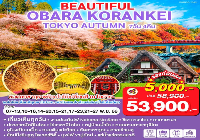 ทัวร์ญี่ปุ่น AJP75-63 BEAUTIFUL OBARA KORANKEI TOKYO AUTUMN (211166)