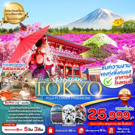 ทัวร์ญี่ปุ่น AJP81-03 TOKYO FUJI FLOWER PINK MOSS PJP22 (290568)