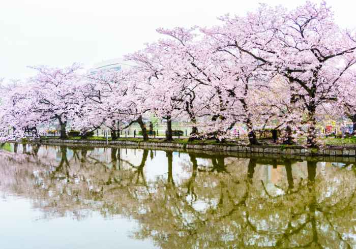 ทัวร์ญี่ปุ่น AJP75-85 TOKYO NIKKO EDO WONDERLAND SAKURA (210367)