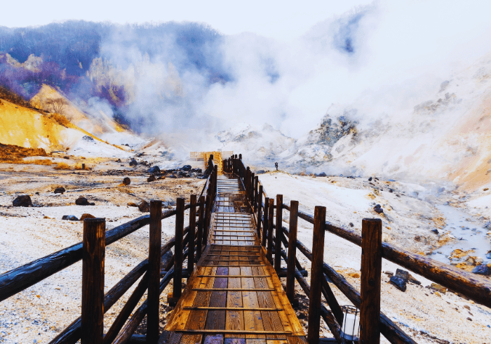 ทัวร์ญี่ปุ่น AJP75-68 HOKKAIDO FURANO ROMANTIC (201266)