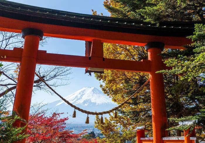 ทัวร์ญี่ปุ่น AJP64-07 TOKYO COLORFUL  (071266)   