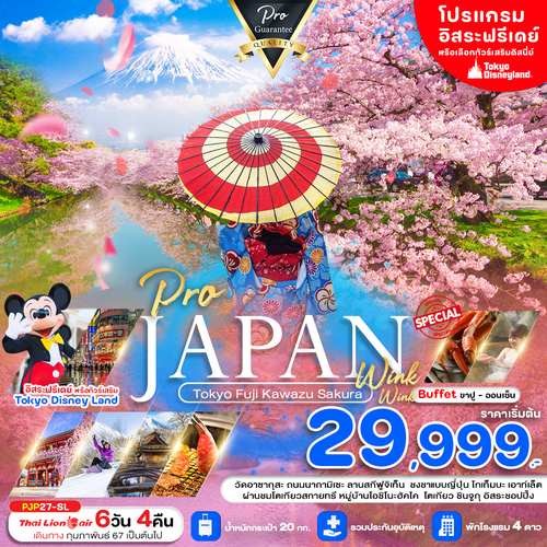 ทัวร์ญี่ปุ่น AJP81-05 PRO TOKYO FUJI KAWAZU SAKURA WINK WINK (240267)  