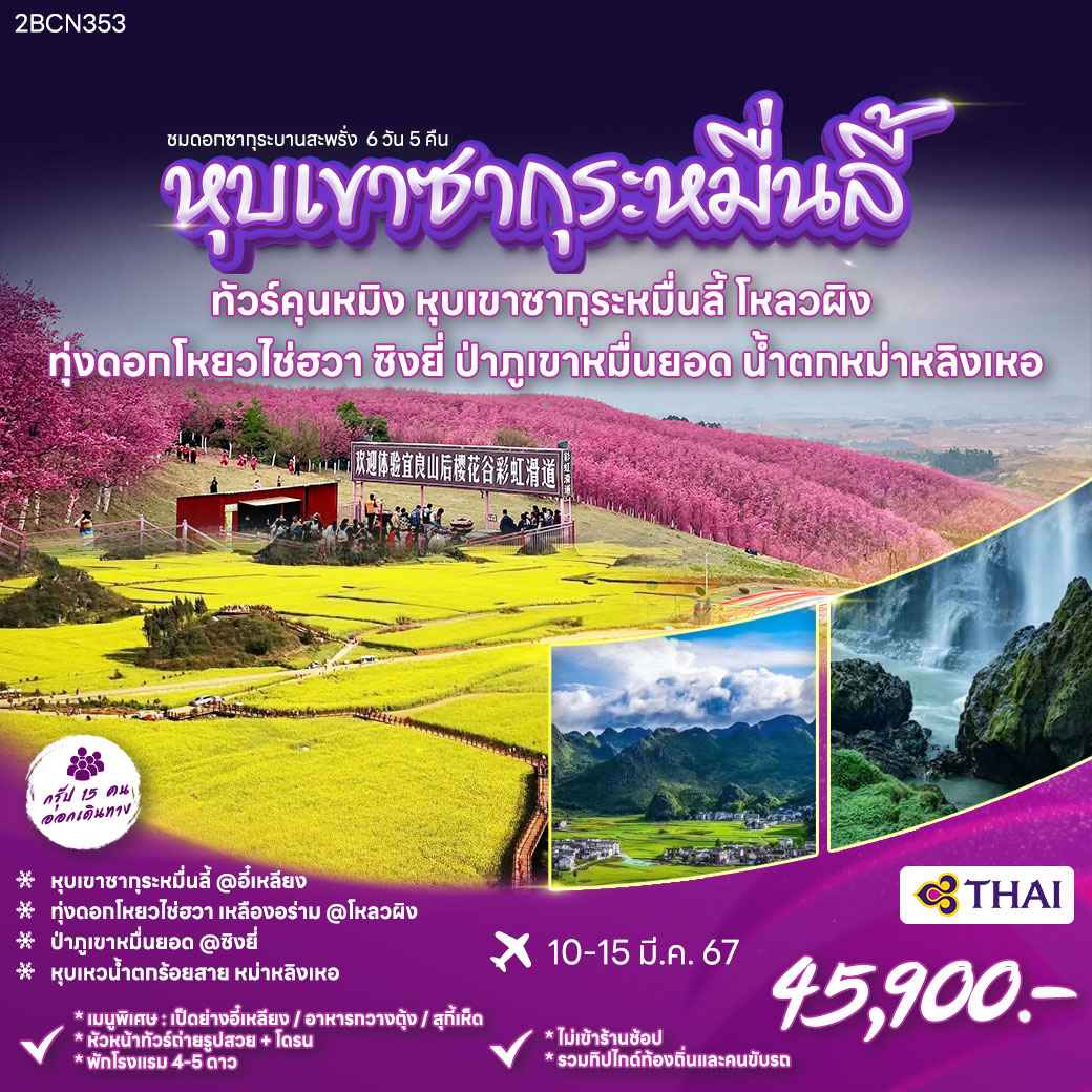 ทัวร์จีน ACH52-01 คุนหมิง หุบเขาซากุระหมื่นลี้ ทุ่งดอกมัสตาร์ด (100367)