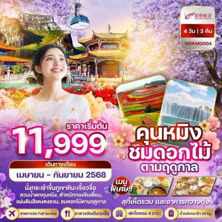 ทัวร์จีน ACH51-06 คุนหมิง ภูเขาหิมะเจี้ยวจื่อ แผ่นดินสีแดง ชมเทศกาลดอกไม้ตามฤดูกาล (300968)