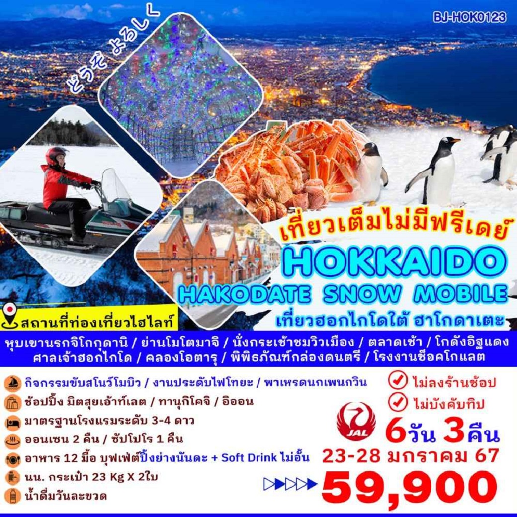 ทัวร์ญี่ปุ่น AJP62-02  HOKKAIDO HAKODATE SNOW MOBILE (230167)