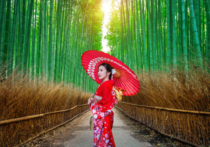 ทัวร์ญี่ปุ่น AJP65-29 OSAKA KYOTO ฟรีเดย์ 2วัน (170699)
