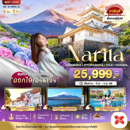 ทัวร์ญี่ปุ่น AJP67-28 นาริตะ โอดาวาระ ไฮเดรนเยีย ฟูจิ โอไดบะ FREEDAY NRT01_XJ (120968)