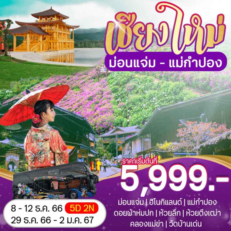 ทัวร์เชียงใหม่ AD08-01 เชียงใหม่ ม่อนแจ่ม แม่กำปอง (291266)