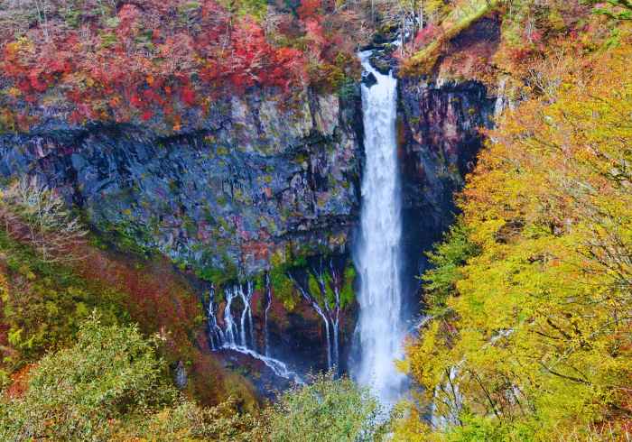 ทัวร์ญี่ปุ่น AJP63-47 TOKYO AUTUMN IN NIKKO (151266)