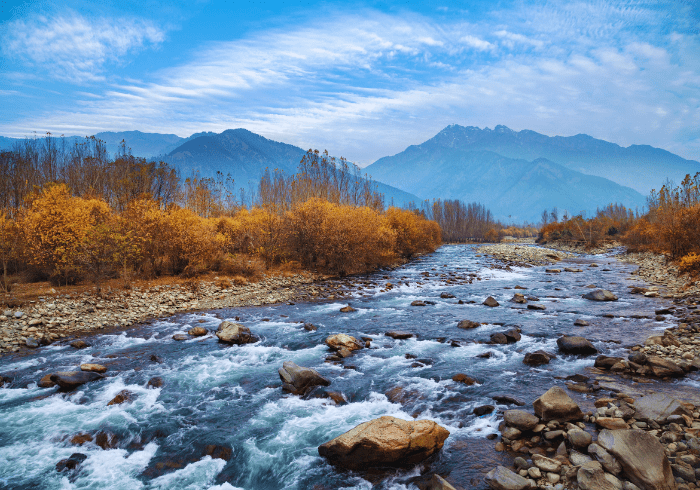 ทัวร์อินเดีย AIN185-02 KASHMIR Season Change (201066)
