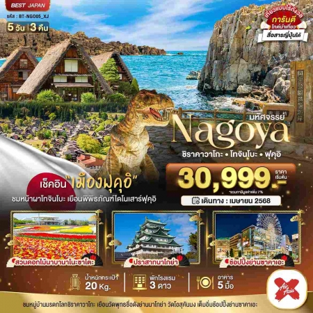 ทัวร์ญี่ปุ่น AJP67-19 มหัศจรรย์ NAGOYA ชิราคาวาโกะ โทจินโบ ฟุคุอิ NGO05_XJ (240468)