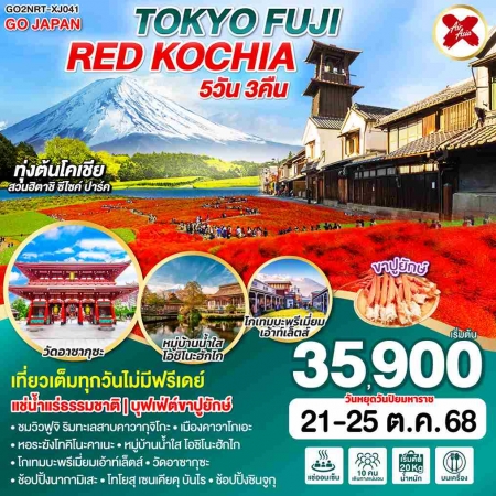 ทัวร์ญี่ปุ่น AJP75-08 TOKYO FUJI RED KOCHIA NRT-XJ041 (211068)