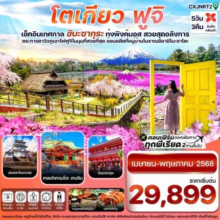 ทัวร์ญี่ปุ่น AJP74-02 โตเกียว ฟูจิ ชิบะซากุระ ทุ่งพิงค์มอส XJ-NRT2 (210568)  