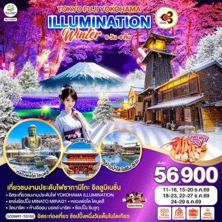 ทัวร์ญี่ปุ่น AJP75-31 TOKYO FUJI YOKOHAMA ILLUMINATION WINTER NRT-TG102 (241269)