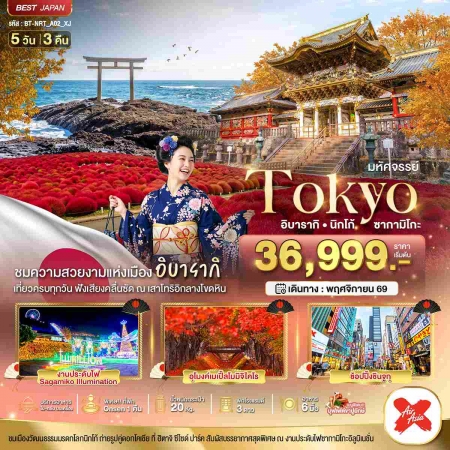 ทัวร์ญี่ปุ่น AJP67-11  มหัศจรรย์ TOKYO อิบารากิ นิกโก้ ซากามิโกะ NRT_A02_XJ (221169)