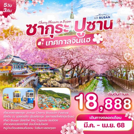 ทัวร์เกาหลี AKR09-08 WONDER KOREA ปูซาน พักปูซาน 3 คืน เทศกาลซากุระ (030468)