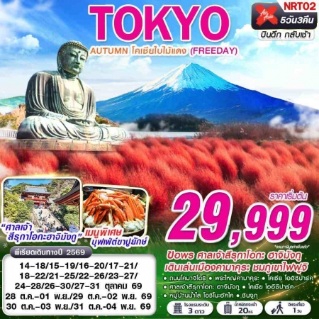 ทัวร์ญี่ปุ่น AJP63-42 XJ DMK TOKYO AUTUMN โคเชียใบไม้แดง ฟรีเดย์ XJ600-601 NRT02 (311069)
