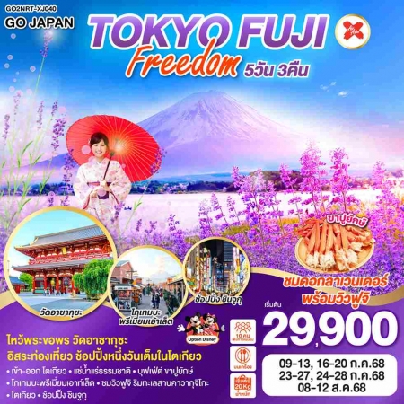 ทัวร์ญี่ปุ่น AJP75-04 TOKYO FUJI FREEDOM NRT-XJ040 (080868)