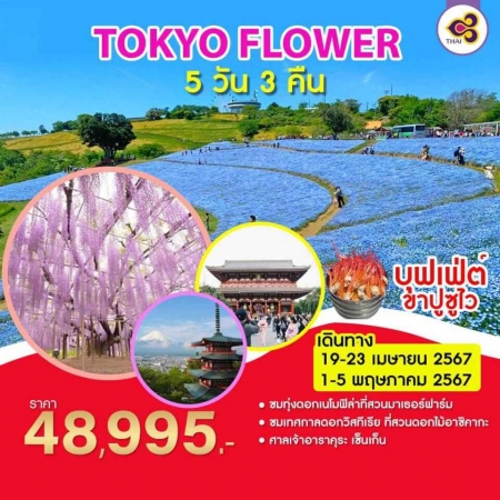 ทัวร์ญี่ปุ่น AJP64-02 TOKYO FLOWER (010567)