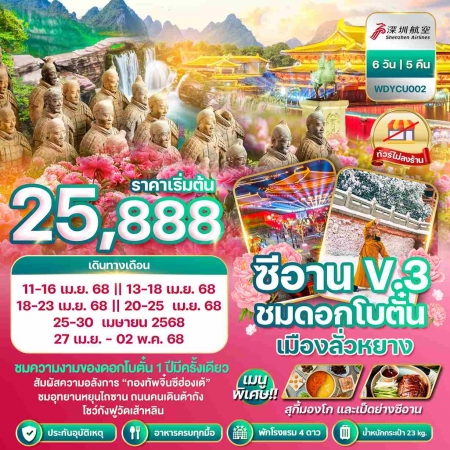 ทัวร์จีน ACH51-07 ซีอาน สุสานจิ๋นซี ลั่วหยาง เทศกาลดอกโบตั๋น (270468)