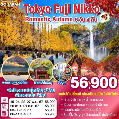 ทัวร์ญี่ปุ่น AJP75-11 TOKYO FUJI NIKKO ROMANTIC AUTUMN ฟรีเดย์ 1 วัน (061267)