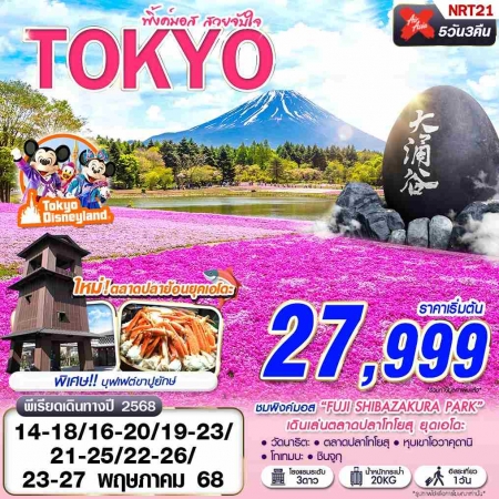 ทัวร์ญี่ปุ่น AJP63-01 XJ DMK TOKYO พิ้งค์มอส สวยจับใจ เที่ยวเต็ม บินเช้า NRT21 (230568)