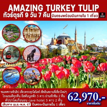 ทัวร์ตุรกี ATK280-04 AMAZING TURKEY TULIP(300467)   